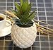 White Porcelain Pineapple Ananas Faux Plant Potted Artificial Succulent 7.8
