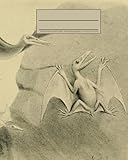 Image de Flying Dragons Illustration Composition Notebook: Vintage Dinosaur 160 Page Soft Cover Journal, College Ruled, 8” x 10” Workbook for School, Stude