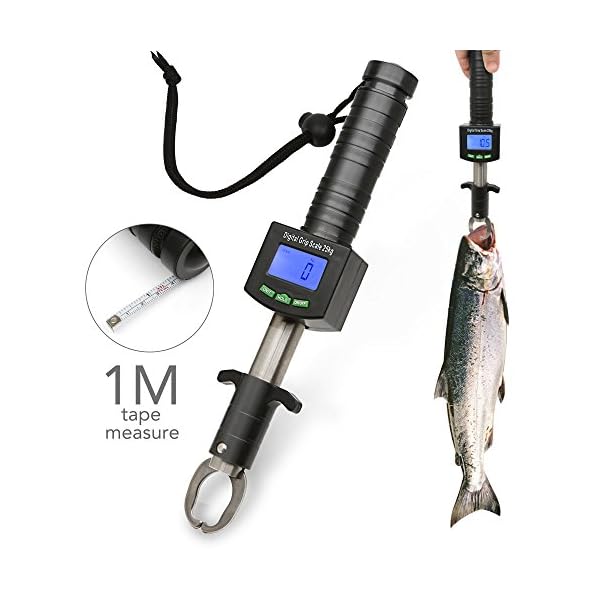 Portable-Fish-Lip-Gripperiwolkon-Grabber-Fishing-Grip-Tackle-Pliers-Stainless-Steel-Clip-Fish-Holder-Knife-w-Scale-Ruler