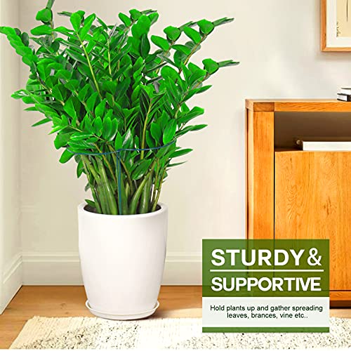 LEOBRO Plant Support Plant Stakes, 6pcs Peony Cages and Supports, Metal Garden Stakes Plant Supports, Plant Support Stakes, for Peony, Tomato, Hydrangea, Indoor Outdoor Plants, 10" W x 15.8" H