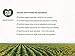 ecoLove - Natural Shampoo, Sodium lauryl sulfate Free, Vegan & Cruelty Free Shampoo, Natural Dry Shampoo for Women, Organic Carrot and Pumpkin Shampoo, No SLS or Parabens, 17.6 oz