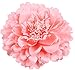 Hair Flower Clips Brooch Boutique Hair Accessories Bohemia Hairpins for Women Girls (Pink) 1 Count (Pack of 1)