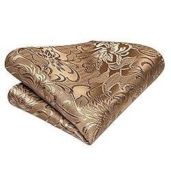 Hi-Tie Floral Khaki Ties for Men Silk Tie and