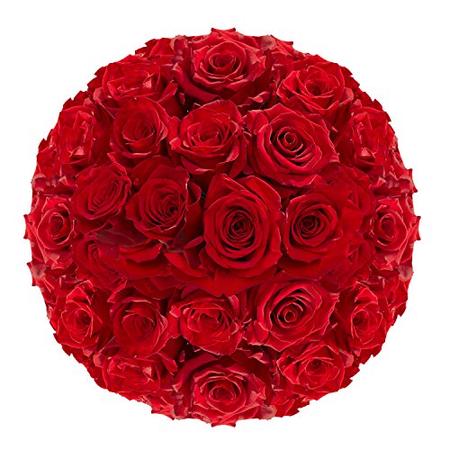 100 Red Roses Beautiful Blooms Next Day Flowers Madcity Florist