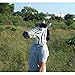Latex Zebra Head Mask for Halloween Cosplay Costume Party