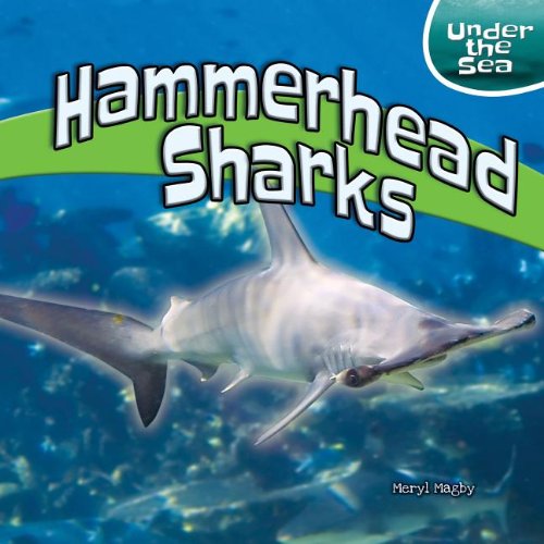 Hammerhead Sharks (Under the Sea (Powerkids))