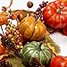 VGIA 22 inch Artificial Fall Wreath Fall Maple Leaves,Pumpkins with Berries for Front Door Fall Harvest Decorations