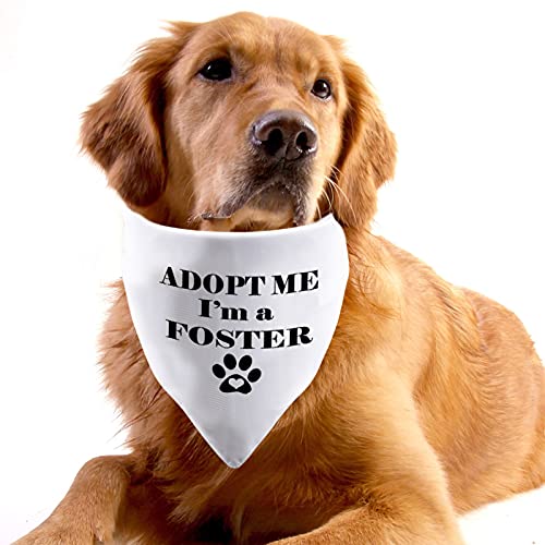 JXGZSO Hundehalstuch Mit Aufschrift „Adopt Me“ – Für Pflege- Und Shelter-Hunde – Weiches Bandana, 70x34 Cm, Rot
