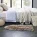 OJIA Faux Sheepskin Fur Rug Soft Fluffy Carpets Chair Couch Cover Seat Area Rugs for Bedroom Sofa Floor Living Room (2 x 3ft, Light Coffee)