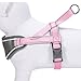 Blueberry Pet 8 Colors Soft & Comfy 3M Reflective Strips Padded Dog Harness Vest, Chest Girth 20.5