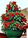 Sana Enterprises Three Tier Plant Stand, Progressively Sized Planters or Flower Pots, Green