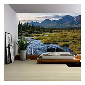 River in Tundra on Alaska - Removable Wall Mural | Self-Adhesive Large Wallpaper - 66x96 inches