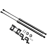 TSUBASA Lift Supports for Toyota bB XP30 for Scion