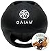 Gaiam Abs Ball Workout Kit (Color May Vary)