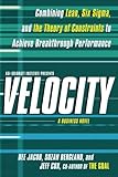 Velocity: Combining Lean, Six Sigma and the Theory of Constraints to Achieve Breakthrough Performance - A Business Novel cover