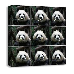 Animals Plants Collage Ideas Home Wall for Bedroom...