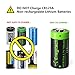 Arlo Battery Charger, Enegitech 3.7V RCR123A Lithium Rechargeable Battery Charger Dual Fast Charger for Arlo Security Camera VMC3030/VMK3200/VMS3330/3430/3530