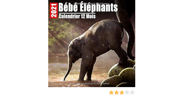 Calendrier 21 Bebe Elephants Mini Photos Calendrier Bebe Elephants Et Organisateur Mensuel Avec Citations Inspirantes Chaque Mois French Edition Prints Co Jolliz Amazon Com Books