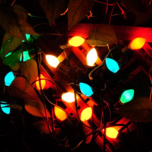 25FT C7 Christmas Lights, 25 Count Big Bulb Multicolor Incandescent