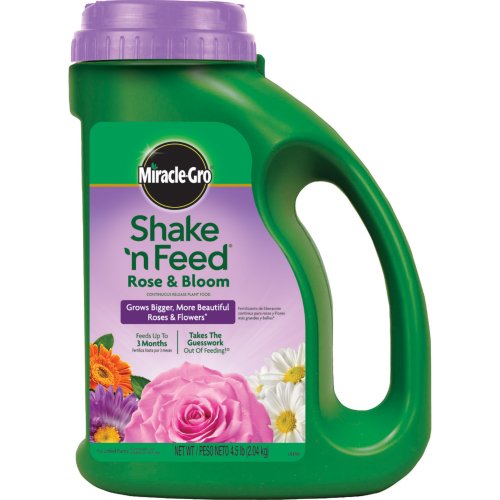 Miracle-Gro 110568 Shake 'n Feed Rose and Bloom Continuous Release Plant Food, 9-18-9, 4.5-Pound Jug Miracle-Gro 110568 Shake 'n Feed Rose and Bloom Continuous Release Plant Food, 9-18-9, 4.5-Pound Jug