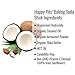 Primal Pit Paste All Natural Deodorant Stick, Aluminum Free, Paraben Free, No Added Fragrances