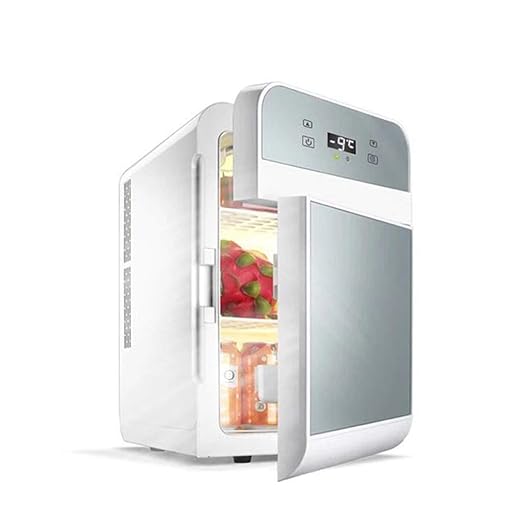 HNFYJQ Mini Nevera eléctrica Cool Box 12V-220V para el automóvil y ...