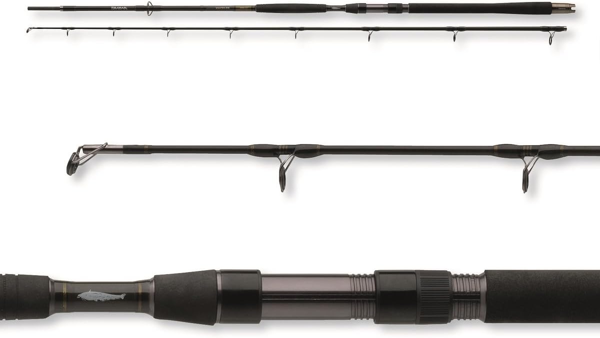 daiwa exceler catfish