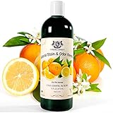 Natural Stain & Odor Remover for Pet Homes - 16 FL OZ (473 mL)