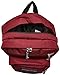 JanSport Cool Student Backpack