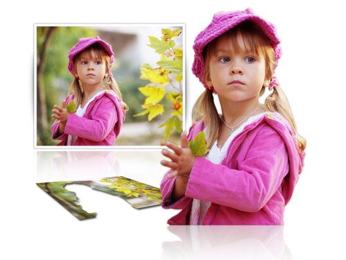 Digital Scrapbook Artist 2 (PC CD)