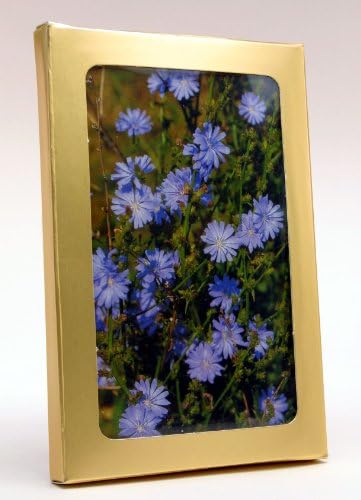 Bach Flower Remedies: 40 Postcard Set