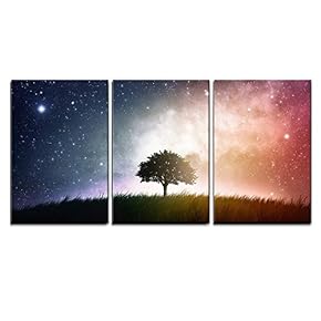 3 Piece Canvas Wall Art - a Single Tree in a Field with Beautiful Space Background - Modern Home Art Stretched and Framed Ready to Hang - 16"x24"x3 Panels