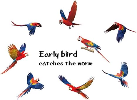 Amazon Takarafune ウォールステッカー 鳥 ウォールペーパー 剥がせる 壁紙シール ステッカー 木 鳥 50 70cm ウォールステッカー オンライン通販