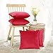 Deconovo Solid Luxurious Smooth Velvet Pillow Cases Red Cushion Covers with Invisible Zipper for Sofa 18 x 18 Inch Red 4 pcs