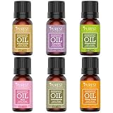 Purest Naturals Top 6 Essential Oils Set - 100% Pure Therapeutic Grade Oil - Rose Frankincense Lavender Ylang Ylang Lemongrass & Peppermint - Best For Oil Diffuser, Massage, Aromatherapy - Premium Kit