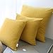 Kevin Textile Decor Velvet Throw Pillow Covers, Striped Decorative Pillow Case Handmade Cushion Cover for Couch, 18x18 inches,2 Pieces,Primrose Yellow