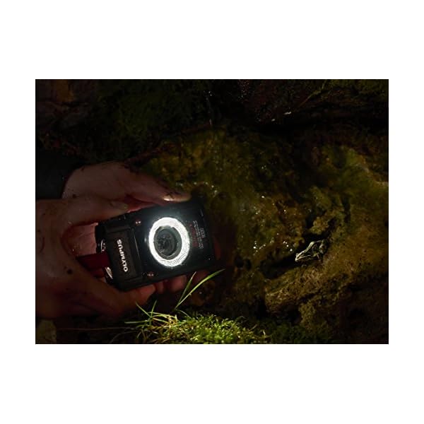 Olympus LG-1 LED Lichtleiteraufsatz (geeignet für TG-7, TG-6, TG-5, TG-4, TG-3, TG-2, TG-1) – Bild 5
