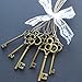 Bingcute 6 Type of 30Pcs Antique Bronze Vintage Skeleton Keys and Antique Silver Skeleton Keys -Vintage Style Key Charms