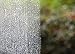 Bio-Clean Products: Hard Water Spot Remover and Toilet Bowl Cleaner