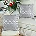 CaliTime Pack of 2 Cushion Covers Throw Pillow Cases Shells for Home Sofa Couch Modern Shining & Dull Contrast Quatrefoil Accent Geometric 20 X 20 Inches Silver Gray