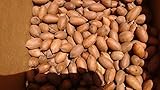 Inshell 4 lb Texas Papershell Pecans, Family Orchard Grown