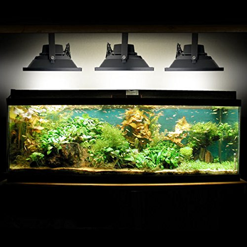 Biltek 10W LED Aquarium Flood Light COOL White High Power Fish Tank Lighting Reef Plant Decor Salt Fresh H2O Main Lighting