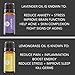 Pure Body Natural Essential Oils Set, 100% Pure Aromatherapy Diffuser Oils, Sample Kit for Beginners, Lavender, Tea Tree, Eucalyptus, Lemongrass, Orange, Peppermint - 10 Milliliter (6 Count)
