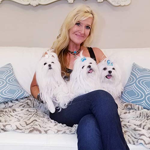 always bright eyes for dogs