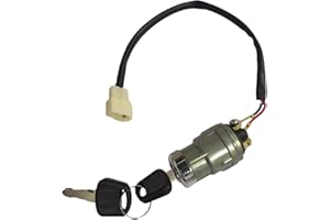JOEEGO Ignition Starter Switch Assembly Fits for Evolution Golf Carts, Replaces OEM# 2.04.0028