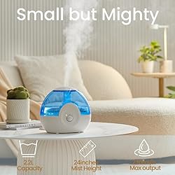 raydrop Cool Mist 2.2L Humidifiers for