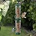 Twinkle Star Hanging Wild Bird Feeder (Green)