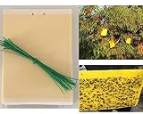 Bao Sheng@ [20 Pcs Dual-Sided Yellow Sticky Traps for Flying Plant Insect Like Fungus Gnats