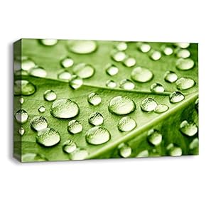 Canvas Wall Art Leaf Veins Pictures Home Wall Decorations for Bedroom Living Room Paintings Canvas Prints Framed - 12x18 inches