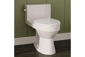 DEER VALLEY One Piece Toilet, DeerValley Concord Toilet Modern Comfort Height Elongated One Piece Toilet with Soft Closing Seat for bathrooms 1.28 GPF DV-1F52627